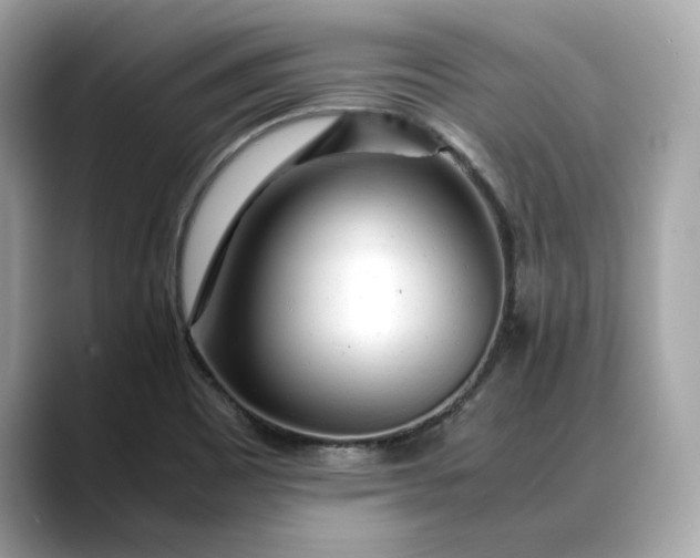 X0000088361465200706051014