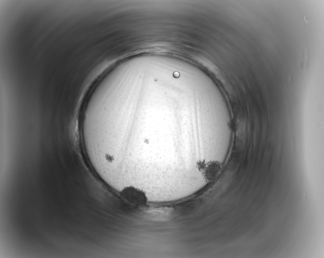 X0000088361466200706051014