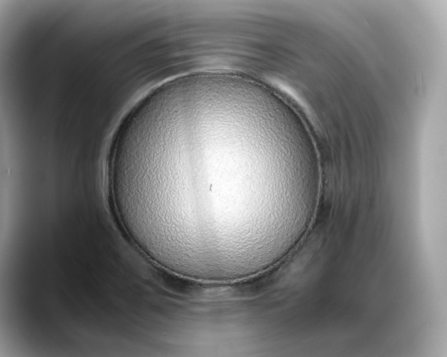 X0000088361467200706051014