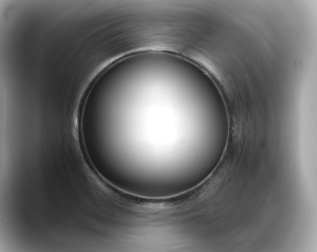 X0000088361468200706051014