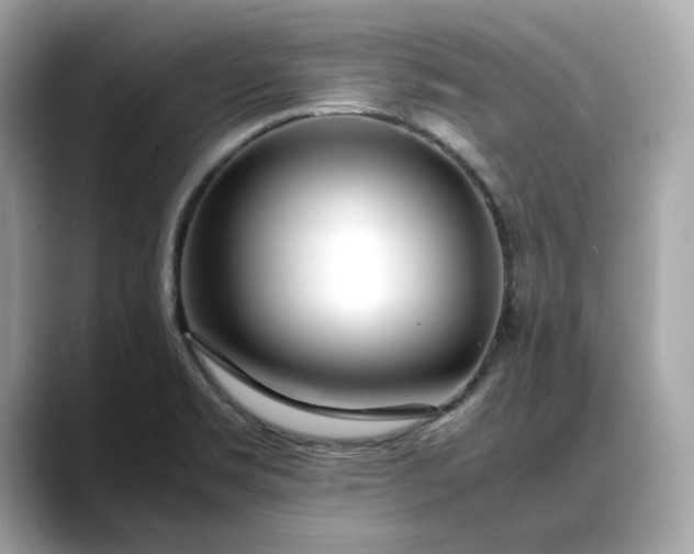 X0000088361469200706051014