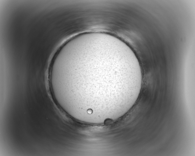 X0000088361470200706051014