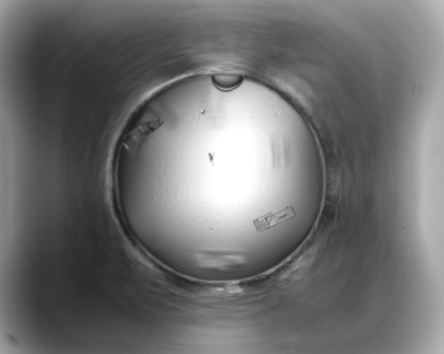 X0000088361471200706051014