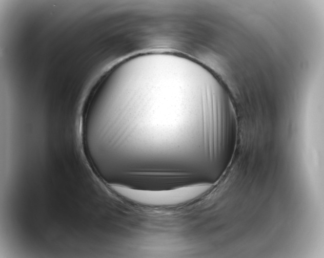 X0000088361472200706051014