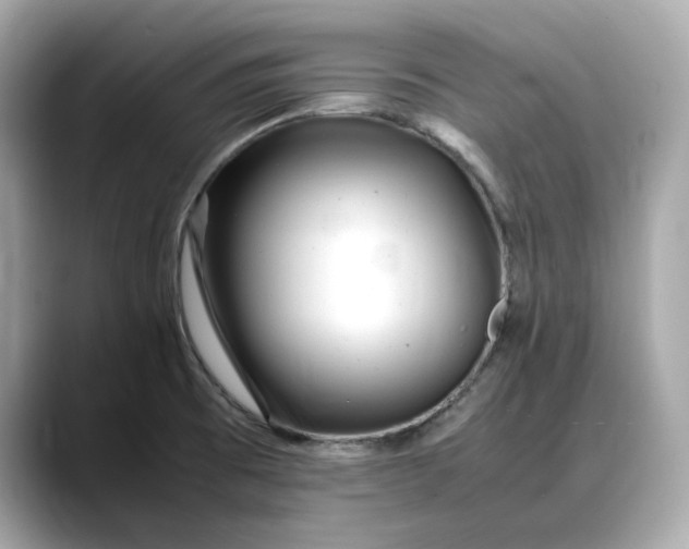 X0000088361473200706051014