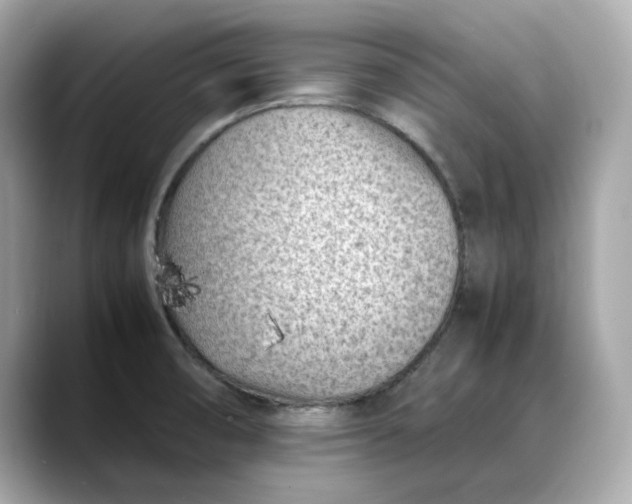 X0000088361474200706051014