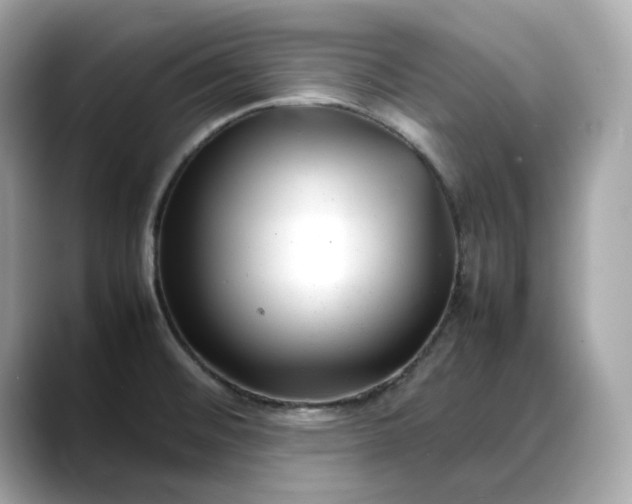 X0000088361476200706051014