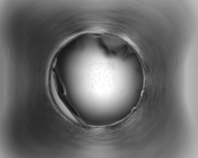 X0000088361477200706051014