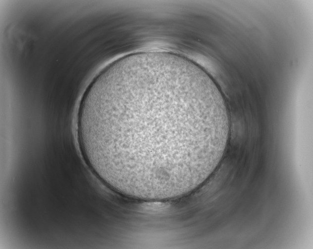 X0000088361478200706051014