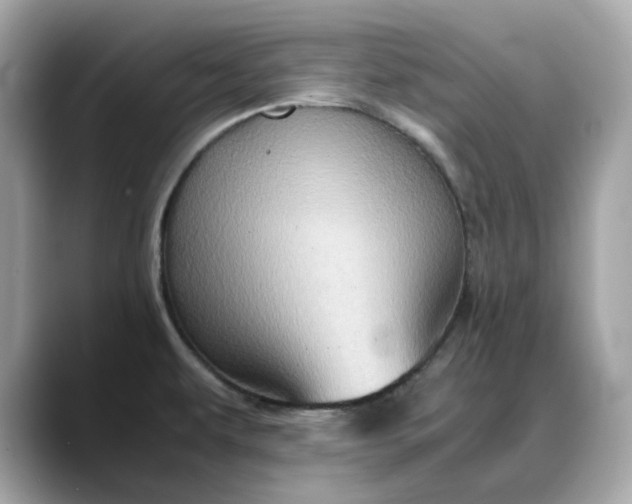 X0000088361479200706051014