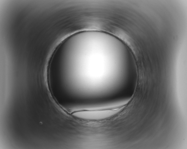 X0000088361480200706051014