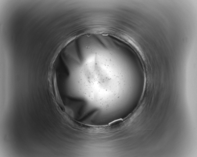 X0000088361481200706051014