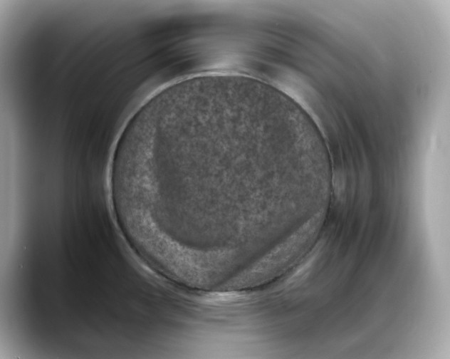 X0000088361482200706051014