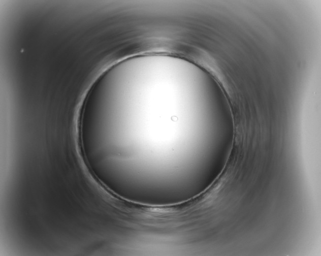 X0000088361483200706051014