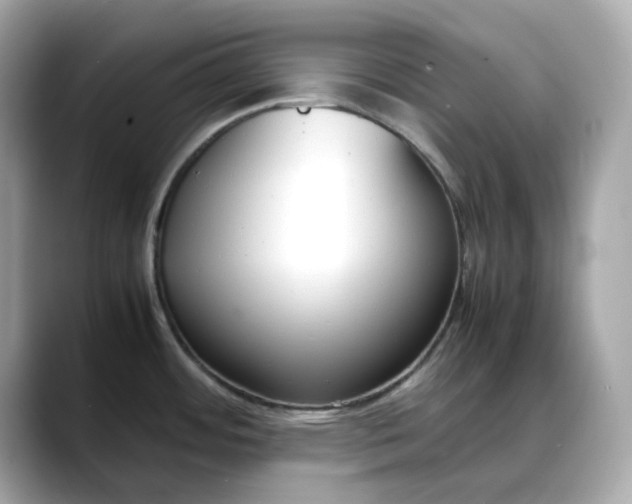 X0000088361484200706051014