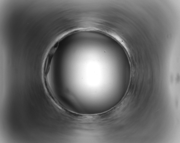 X0000088361485200706051014