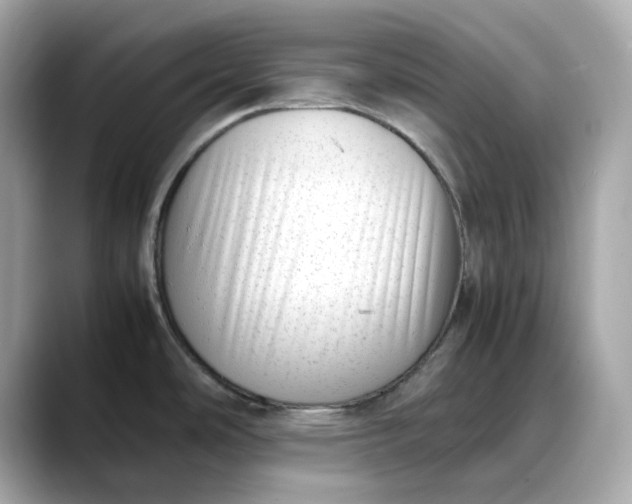 X0000088361486200706051014