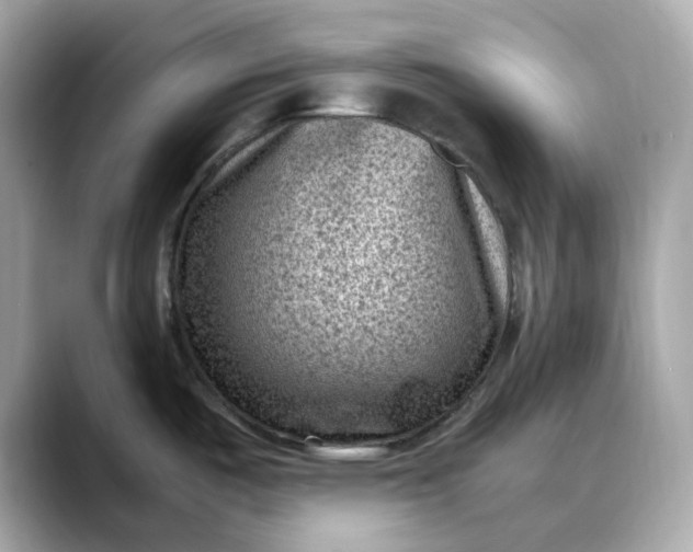 X0000088361487200706051014