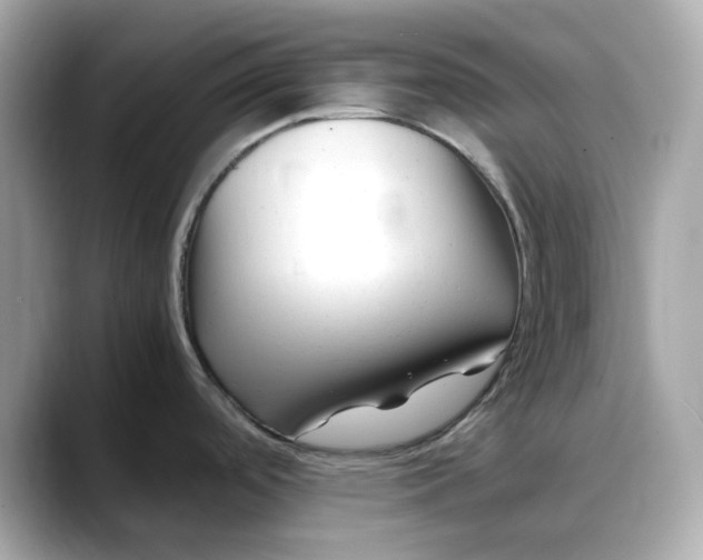 X0000088361488200706051014