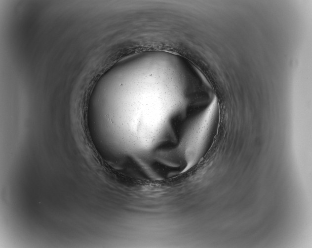 X0000088361489200706051014