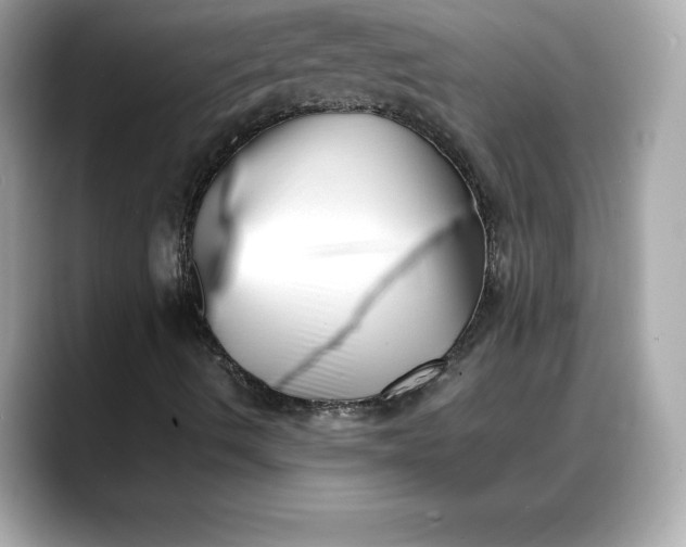 X0000088361490200706051014