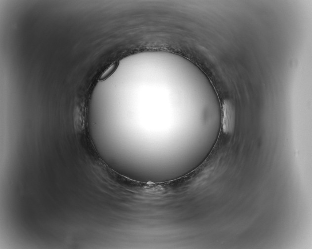 X0000088361491200706051014