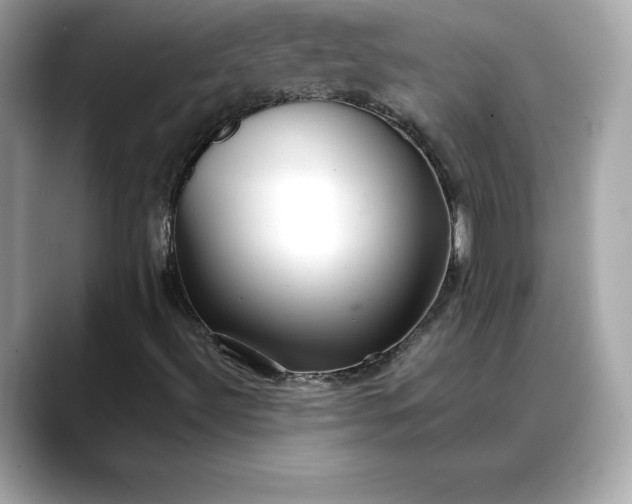 X0000088361492200706051014