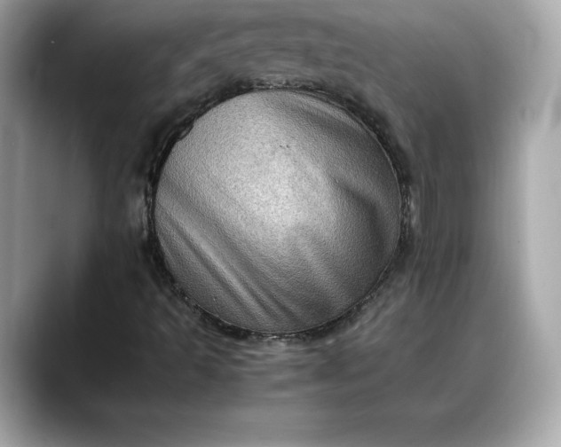 X0000088361493200706051014