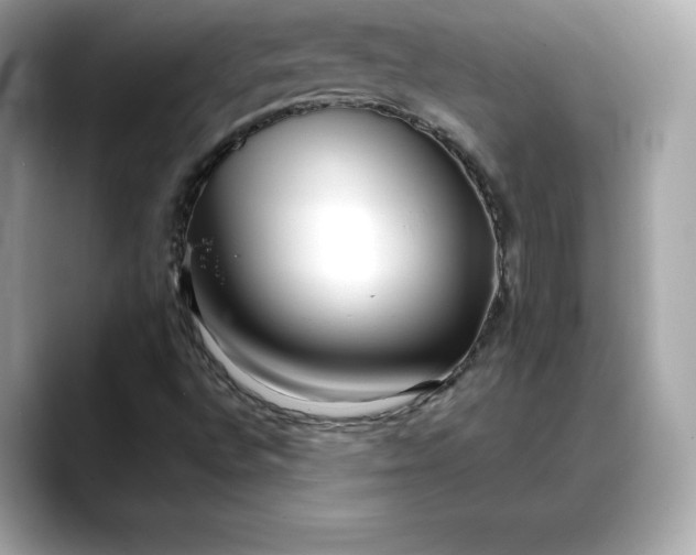 X0000088361496200706051014