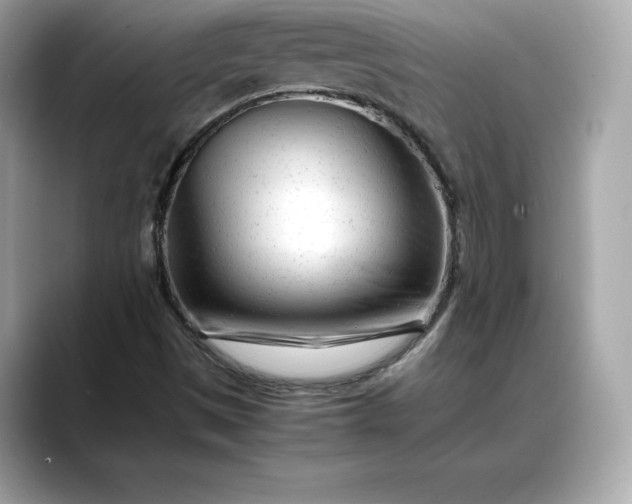 X0000088361497200706051014