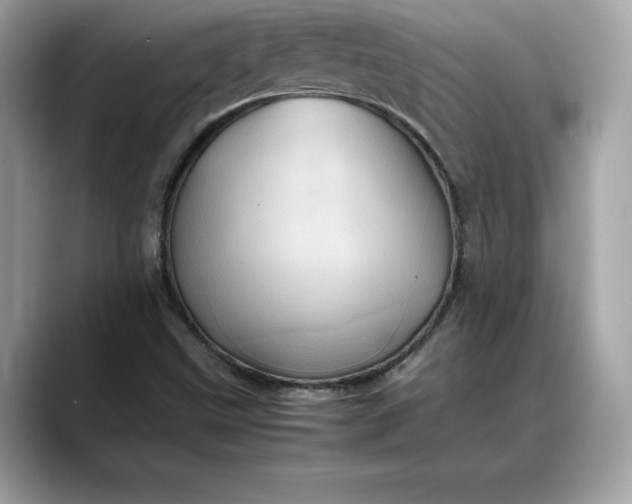 X0000088361499200706051014