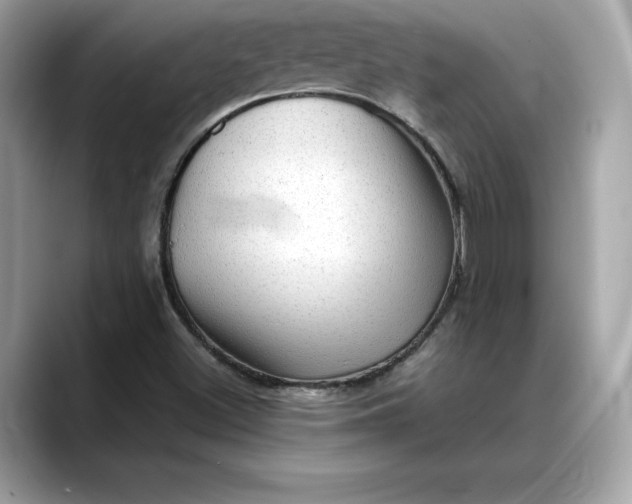 X0000088361500200706051014