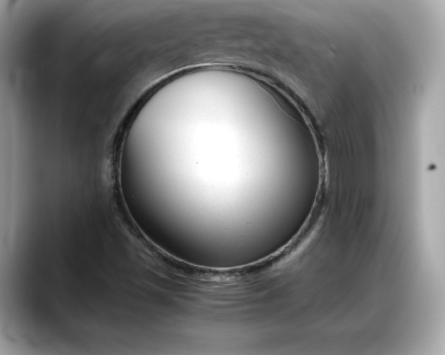 X0000088361501200706051014