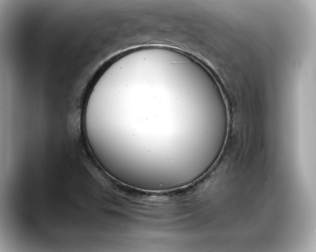 X0000088361503200706051014