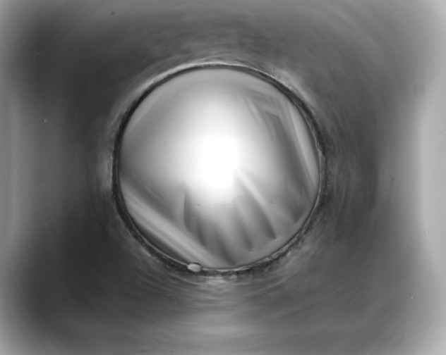 X0000088361504200706051014