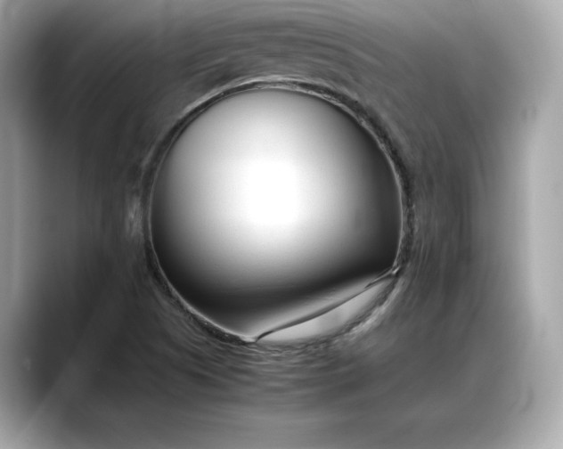 X0000088361505200706051014