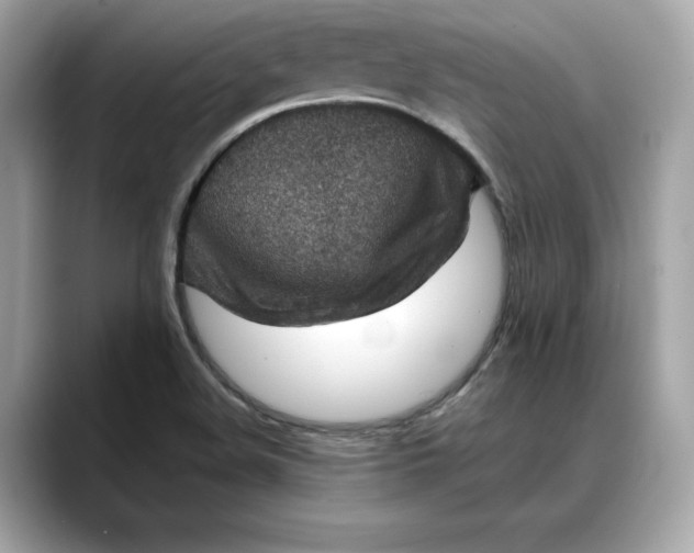 X0000088361508200706051014