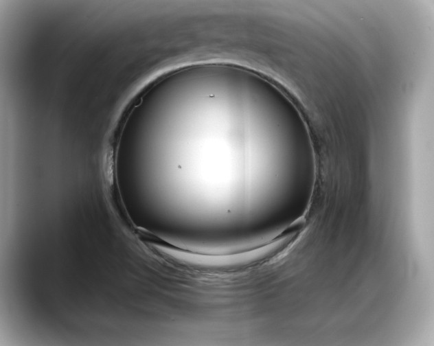 X0000088361510200706051014