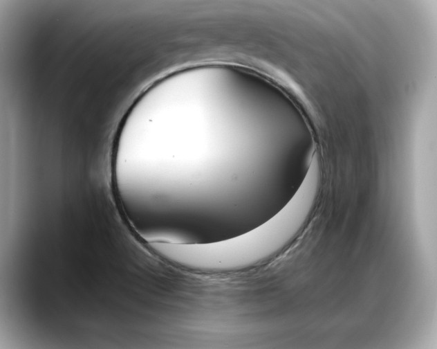 X0000088361512200706051014