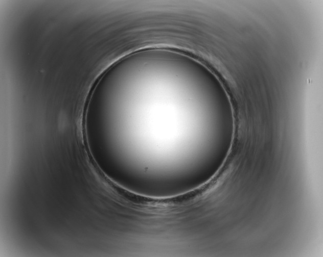 X0000088361513200706051014