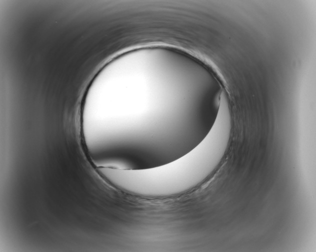 X0000088361516200706051014