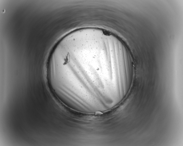 X0000088361517200706051014