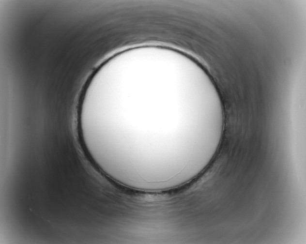 X0000088361518200706051014