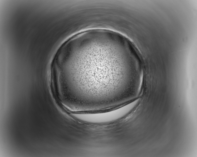 X0000088361519200706051014