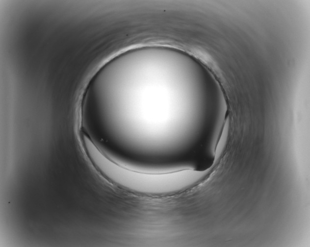 X0000088361520200706051014