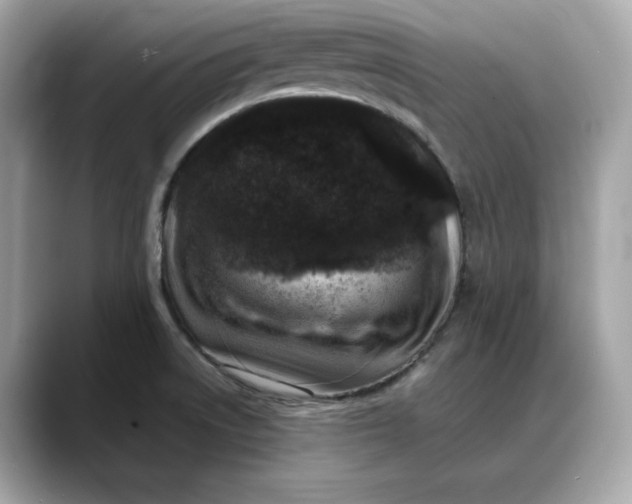 X0000088361522200706051014