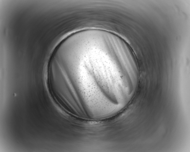 X0000088361523200706051014