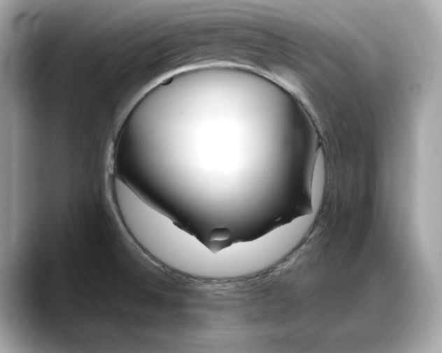 X0000088361524200706051014