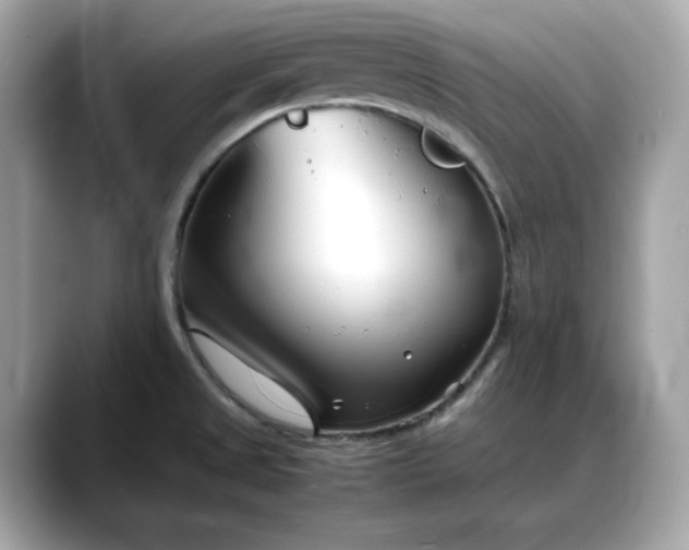 X0000088361525200706051014