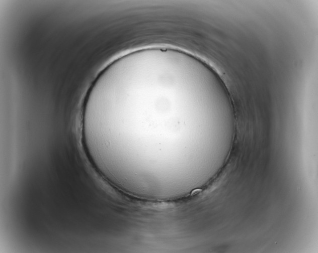 X0000088361526200706051014